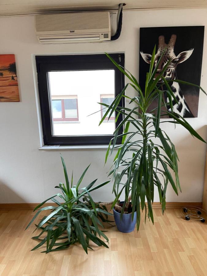 Monteurwohnung - Ferienwohnung Naehe Limburg An Der Lahn Flacht Luaran gambar
